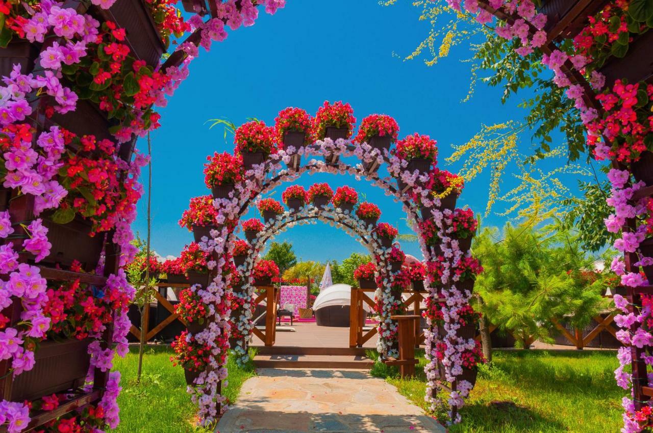 אתר נופש The Wind Mills Hydropark 4*